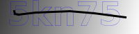 captcha verification