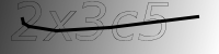 captcha verification