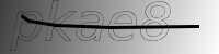 captcha verification