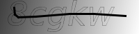 captcha verification