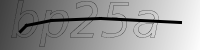 captcha verification