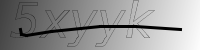captcha verification